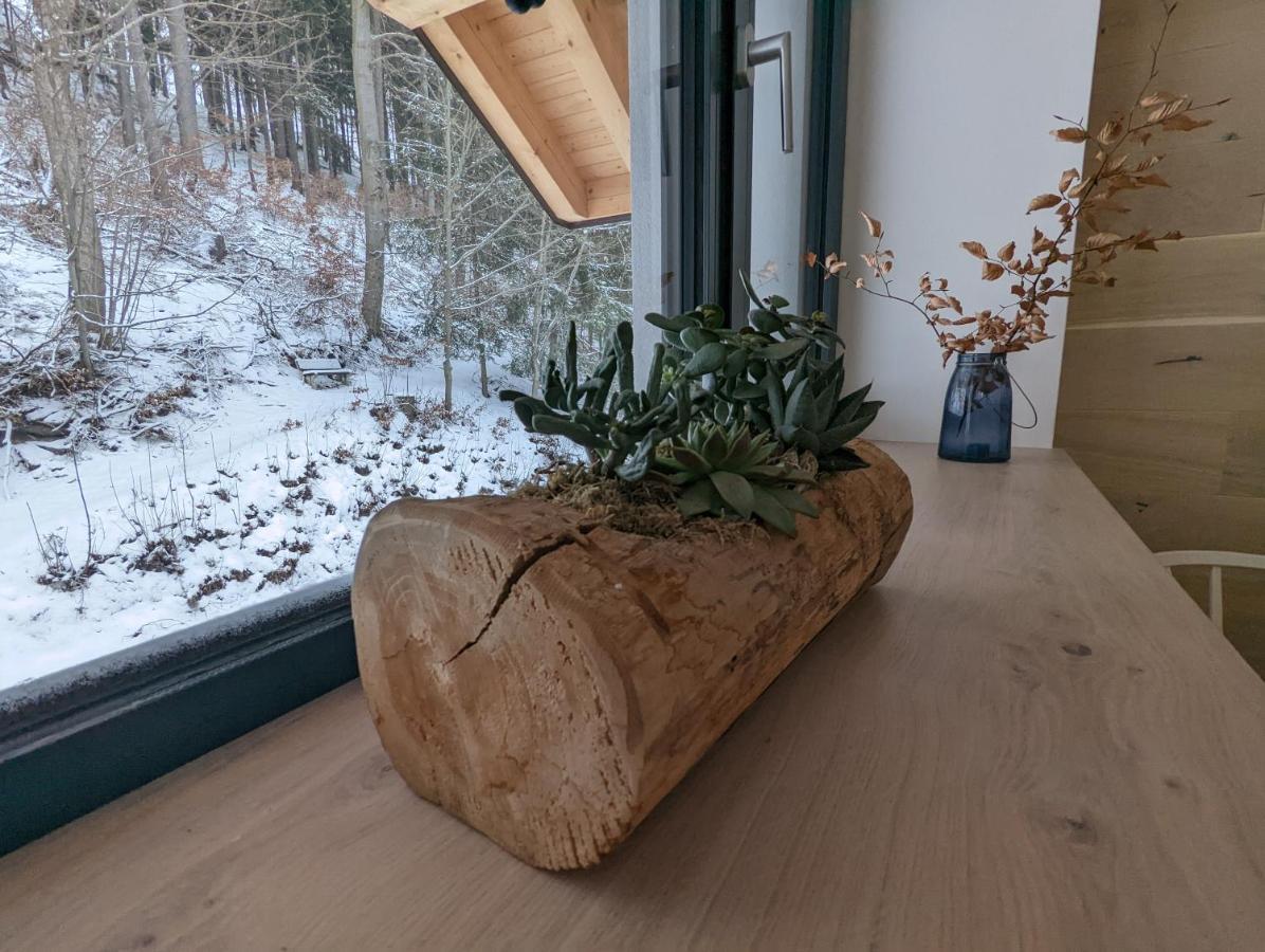 Jasmin Home Vítkovice エクステリア 写真
